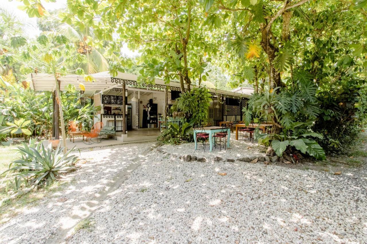 Bajo El Arbol B&B Playa Santa Teresa  Zewnętrze zdjęcie