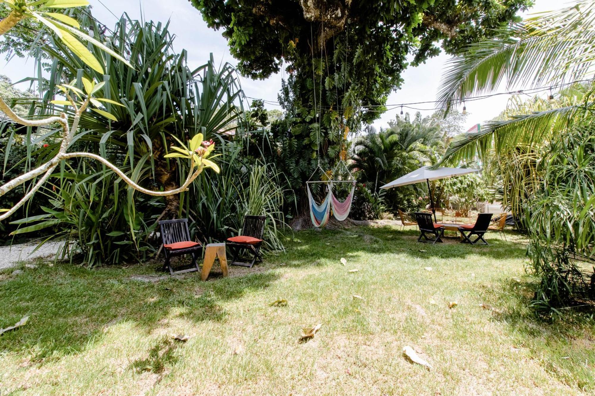 Bajo El Arbol B&B Playa Santa Teresa  Zewnętrze zdjęcie