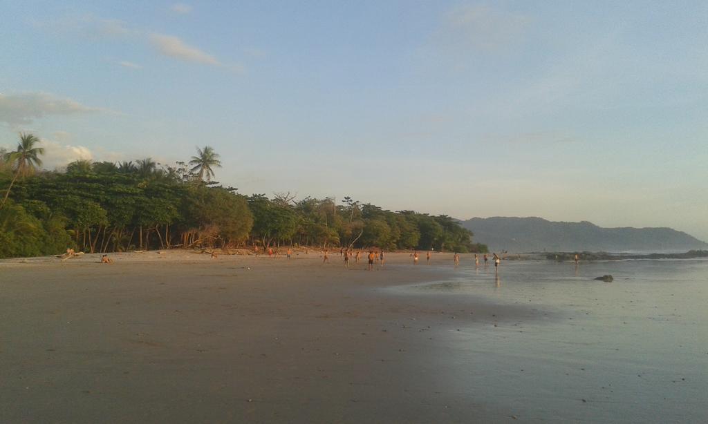 Bajo El Arbol B&B Playa Santa Teresa  Zewnętrze zdjęcie